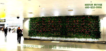 植彩坊加盟 以新材料技術(shù)引領(lǐng)家居裝飾新潮流